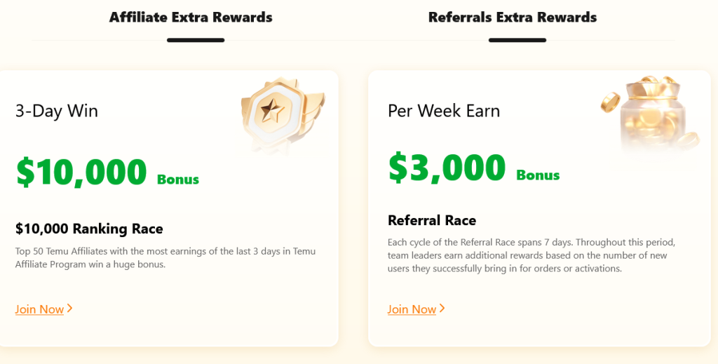 earn money with temu